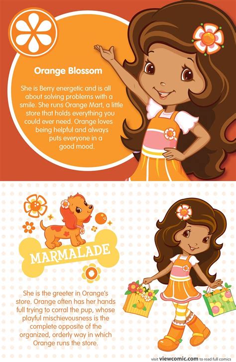 Orange Blossom | Strawberry shortcake characters, Strawberry shortcake cartoon, Strawberry shortcake