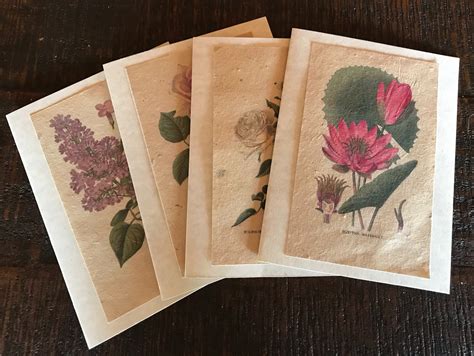 Seed Paper Cards / Set of 4 / Plantable / Vintage Designs | Etsy