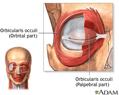 Eyelid twitch Information | Mount Sinai - New York