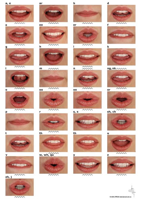 lips types | Dudak, Natürmort çizim, Eskiz