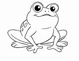 Cute Frog Coloring Sheets  101 Activity sketch template