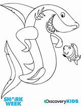 Basking Shark Coloring Pages At GetColoringscom  Free Printable sketch template