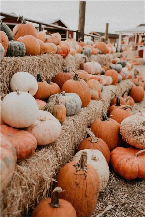 Awesome Tumblr Fall Aesthetic Wallpaper Download