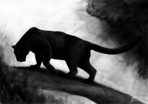 White and Black Panther Wallpapers - Top Free White and Black Panther Backgrounds - WallpaperAccess