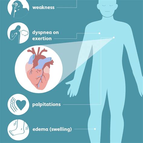 Congestive Heart Failure: Causes And Symptoms