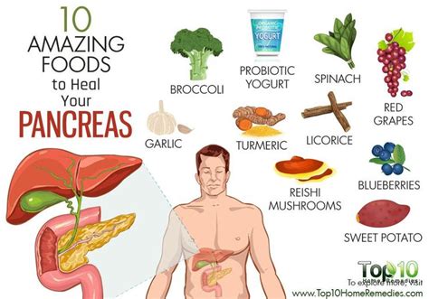 10 Amazing Foods to Heal Your Pancreas | Top 10 Home Remedies | Cancer ...