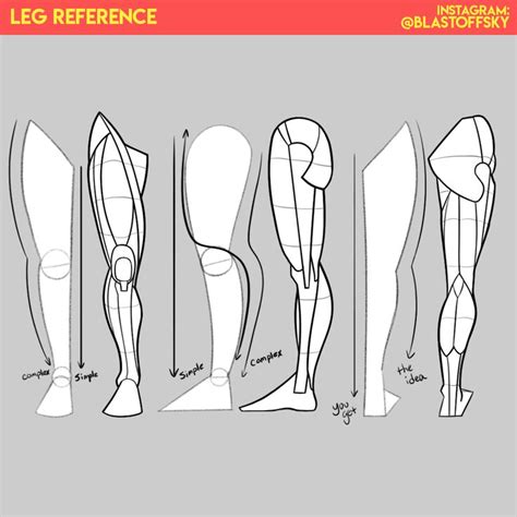 Leg Anatomy Reference | Anatomy drawing, Anatomy art, Art reference