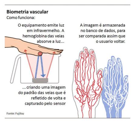 Biometría vascular ¿Es el futuro? | Anixter