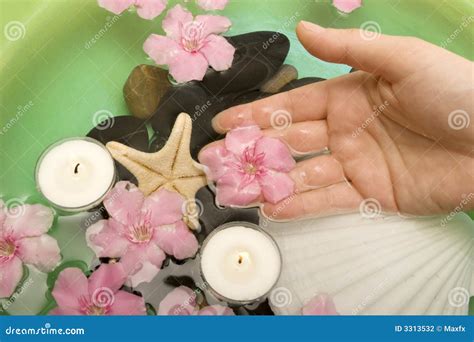 Spa treatment stock photo. Image of flower, manicure, girl - 3313532