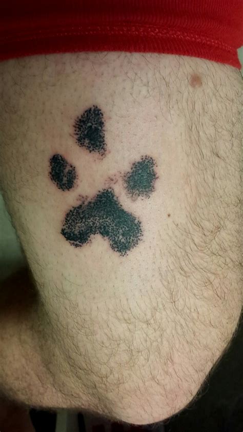 Decided to get my dogs paw print tattooed. Painless steel, Missoula, MT : r/tattoos