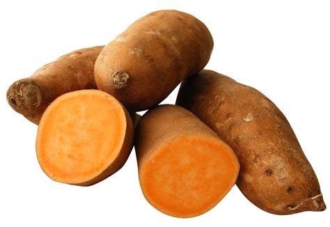 Sweet Potato Illustration, Image, Art Free PNG