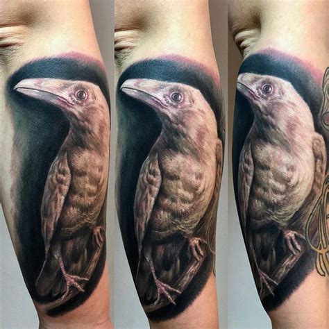 crow Tattoos - Images, Designs, Inspiration - Inkably.co.uk