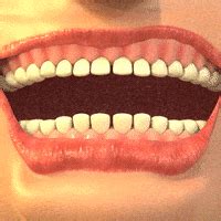 False Teeth GIFs - Find & Share on GIPHY