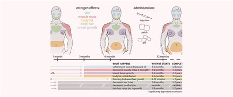 6 main body changes induced by MtF HRT - 2pass Clinic