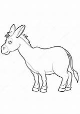 Coloring Pages  Printable Donkey Page sketch template