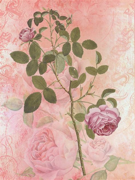 Vintage Floral Rose Art Free Stock Photo - Public Domain Pictures