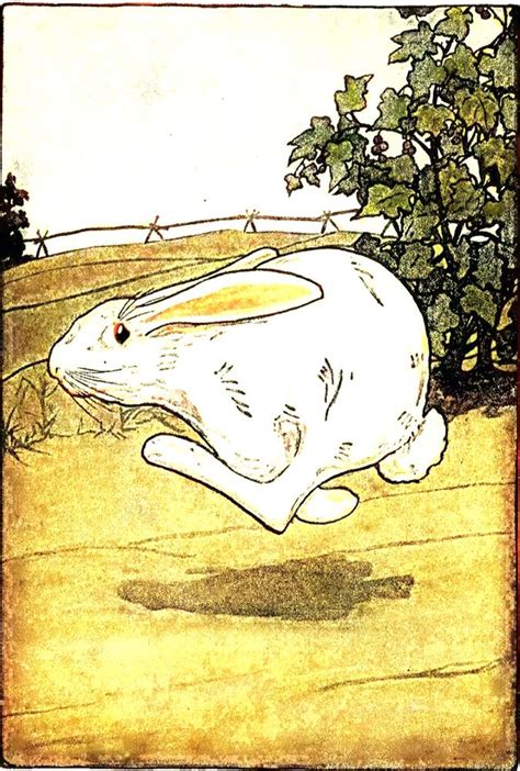 RABBIT *2X3 FRIDGE MAGNET* BUNNY BIG EARS LIVESTOCK PET SOFT CUTE HARE FOLKLORE | eBay ...