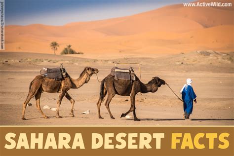 Sahara Desert Facts, Pictures: Discover The World's Largest Desert