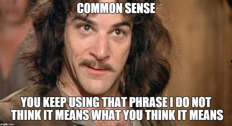 Image tagged in inigo montoya,common sense - Imgflip