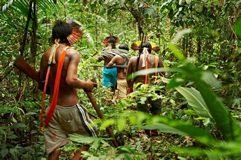 Rain Forest Warriors: How Indigenous Tribes Protect the Amazon | Amazon ...