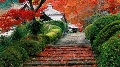 Japanese waterfall — Top 10 most beautiful waterfalls in Japan in autumn - Living + Nomads ...