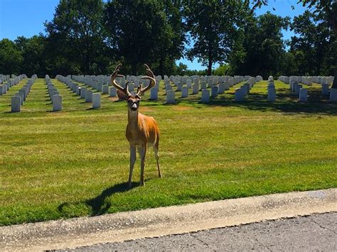 Jefferson Barracks Historic Park (Saint Louis) - 2020 All You Need to Know BEFORE You Go (with ...