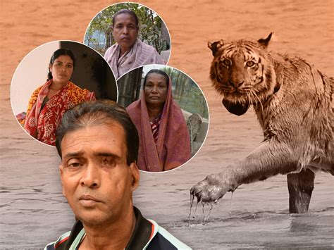 Surviving a tiger attack: How hunters became the hunted