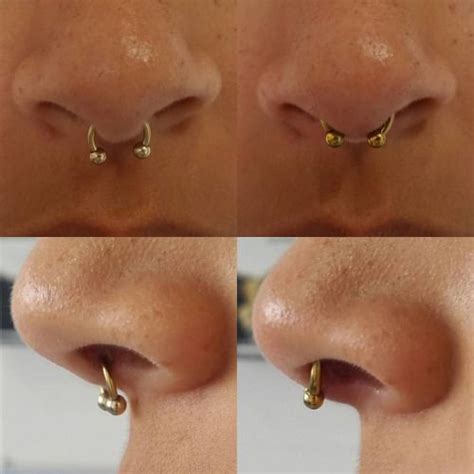 Septum Piercing Healing Time Flipped Up