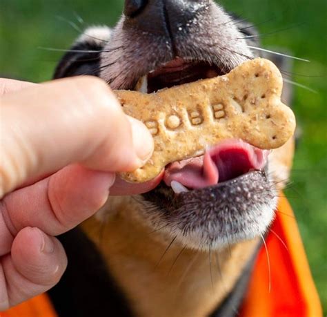 Doggie Delights Custom Dog Treats - Etsy Canada