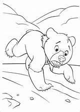 Brother Bear Coloring Pages  Best For Kids sketch template