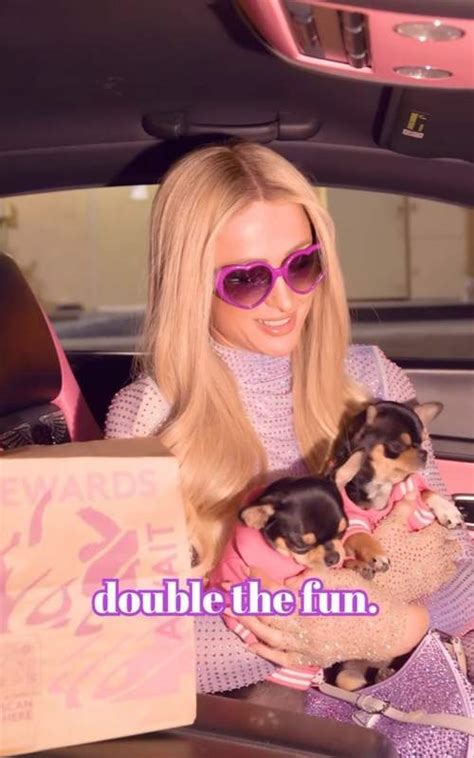 Paris Hilton Debuts Her Cloned Chihuahuas, Diamond and Baby, in New ...