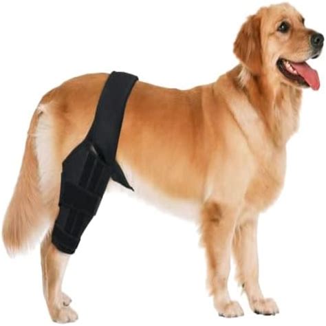 Dog Knee Brace for ACL CCL Luxating Patella and Hind Leg Support - Best Brace for Torn ACL ...