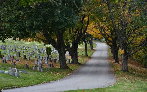 gvc-tree | Grandview Cemetery & Mausoleum