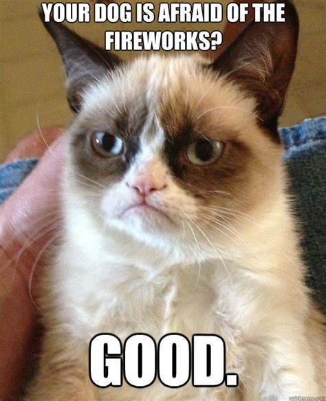 your dog is afraid of the fireworks? Good. - Misc - quickmeme