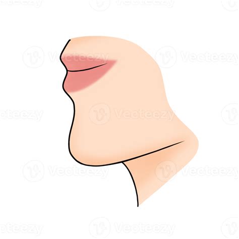 chin body part cartoon illustration 22990979 PNG