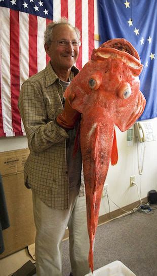 200 Year Old Rockfish Caught | Alaska | Record Fish Caugh | Bloodydecks