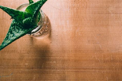 HD wallpaper: desk, table, plant, cactus, cafe, background, wood, food and drink | Wallpaper Flare