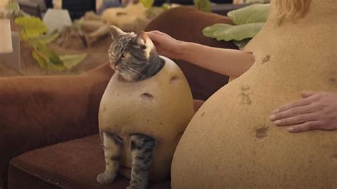 Pluto TV's Couch Potato Ad Is One Of Super Bowl 2024's Funniest Commercials