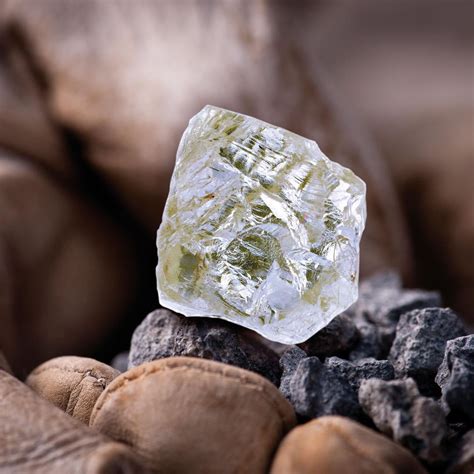 The 187.7 carat Diavik Foxfire diamond