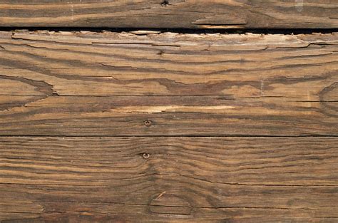 Free Images : wood stain, hardwood, brown, wood flooring, plank, lumber, pattern, plywood ...