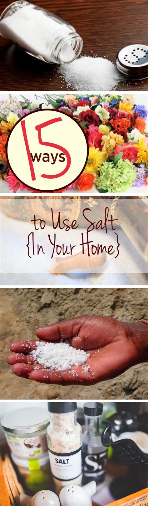 15 Ways to Use Salt {In Your Home} - Wrapped in Rust