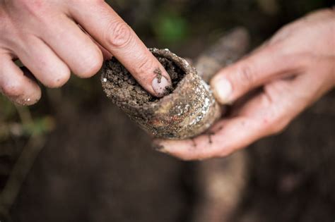 Biodynamic wines explained - Decanter