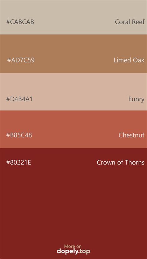 the color scheme for different shades of brown, red, and beiges with ...