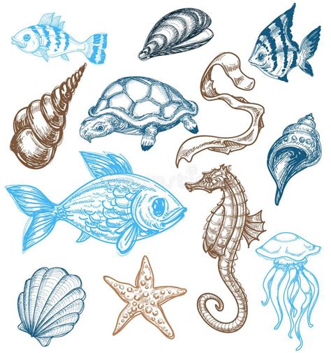 Marine life collection. A set of different marine animals , #SPONSORED ...