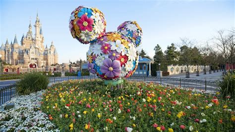 Celebrating the Magic at Shanghai Disneyland | Disney Parks Blog