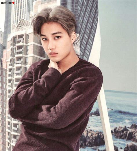 KAI 2017 SEASONS GREETINGS | K-Pop Amino