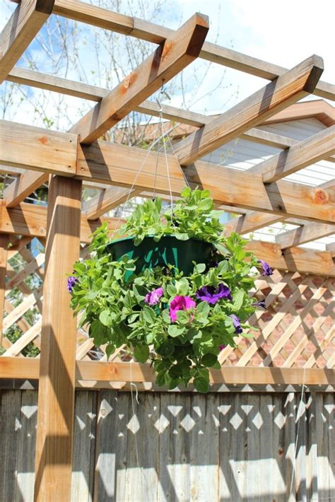 How To Create A Gorgeous Hanging Flower Basket