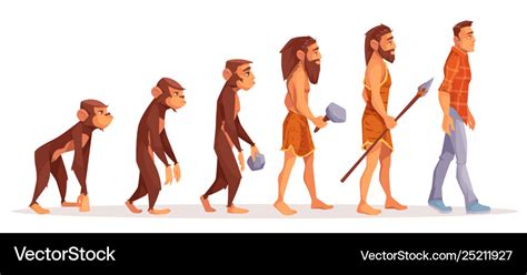 Human evolution stages cartoon concept Royalty Free Vector