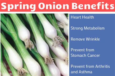 Spring Onion Benefits: Hara Pyaz Ke Swasthvardhak Laabh