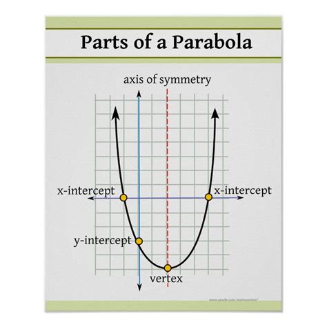 Quadratic Function: Parts Of A Parabola Poster - Custom Posters | Graphing quadratics, Math ...